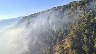 İzmir ve Denizli'de orman yangınlarına müdahale devam ediyor