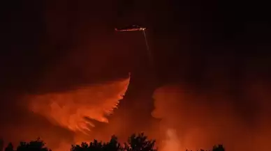 İzmir'deki orman yangınları kontrol altına alındı