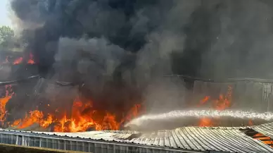 Bursa'da fabrika ve geri dönüşüm tesisinde çıkan yangın söndürüldü