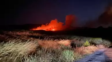 Çanakkale'nin Ayvacık ilçesinde orman yangını