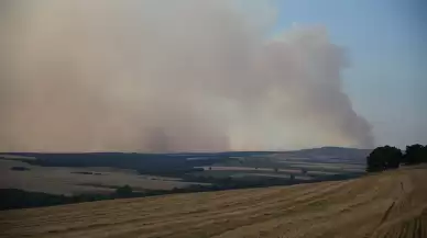 Bulgaristan'da başlayan yangın, Edirne sınırına doğru ilerliyor: Ekipler teyakkuzda