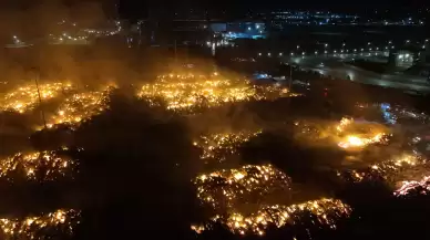 29 saattir devam ediyor! Yangına müdahale yeniden başladı