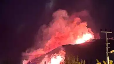 İzmir'in Urla ilçesinde orman yangını