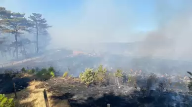 Çanakkale'de orman yangını