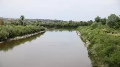 Kuraklık nedeniyle su seviyesi düşen Meriç Nehri'nde temizlik yapılacak