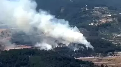 Manisa'da orman yangını! Ekiplerin müdahalesi sürüyor