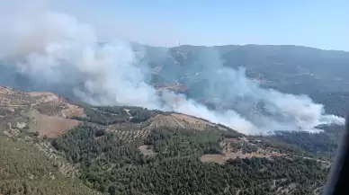 Hatay'daki orman yangınına havadan ve karadan müdahale!