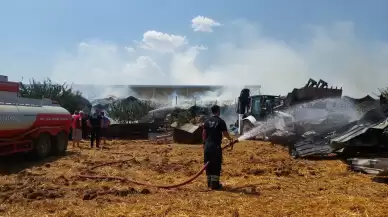 Marmaraereğlisi'nde çiftlik yangınında 15 bin saman balyası kül oldu