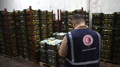 Ticaret Bakanlığı'ndan Mersin'de limon depolarına denetim