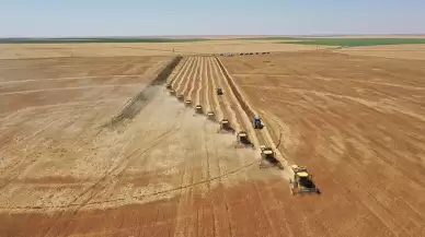 Tarımda planlı üretim dönemi başladı