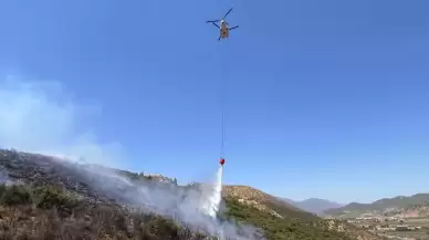 Muğla'daki yangın kontrol altına alındı