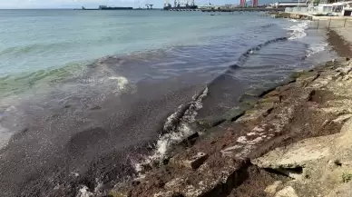 Tekirdağ'da poyraz nedeniyle sahilde kırmızı yosun birikti