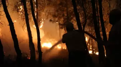 Bakan Yumaklı'dan Bozdoğan'daki yangınla ilgili son dakika açıklaması