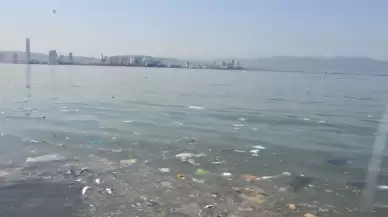 İzmir'de ölü balık alarmı! Çevredekiler tedirgin!