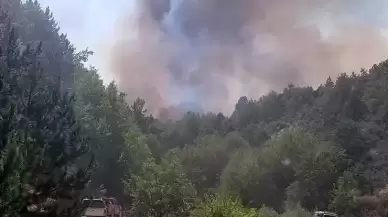 Afyonkarahisar'da orman yangını! Ekipler müdahale ediyor