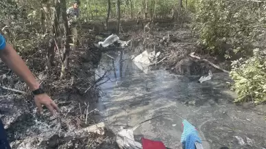 Tayland'da küçük uçak ormanlık alana düştü: 9 ölü