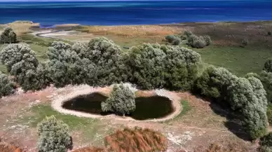 Konya'daki Selçuklu sarayının Gençlik Pınarı kurudu