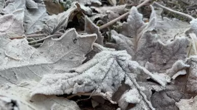 Ağrı'da dereler buz tuttu