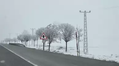 Bitlis’te dondurucu soğuk etkili oluyor: Ağaçlar kırağıyla kaplandı