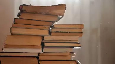 Kitap kurdu nedir ve nasıl kurtuluruz? Kitap kurdu kitaplara zarar verir mi?