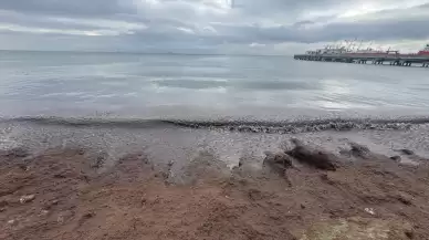 Tekirdağ'da kuvvetli rüzgar nedeniyle sahilin bir kısmına kırmızı yosun birikti