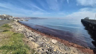 Tekirdağ'da kıyılar kızıl yosunlarla kaplandı