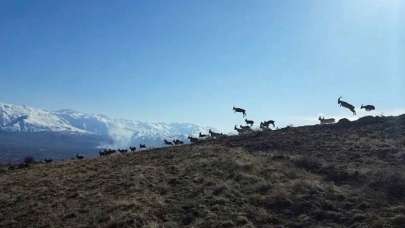 Yer: Erzincan... Türkiye'de ilk kez...