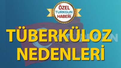 Tüberküloz nedenleri