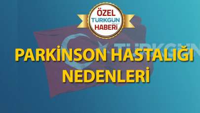 Parkinson Hastalığı nedenleri