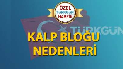 Kalp bloğu nedenleri