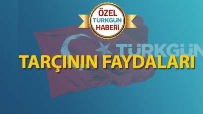 Tarçının faydaları