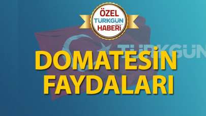 Domatesin faydaları