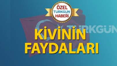 Kivinin faydaları