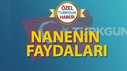 Nanenin faydaları