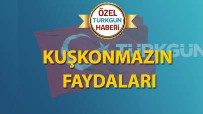 Kuşkonmazın faydaları