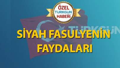 Siyah fasulyenin faydaları