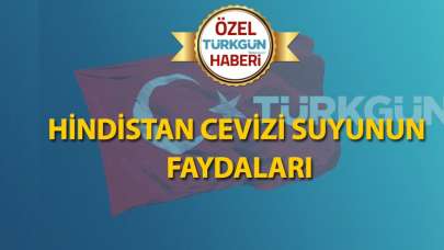 Hindistan cevizi suyunun faydaları