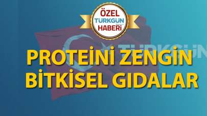 Proteini zengin bitkisel gıdalar