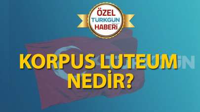 Korpus luteum nedir?