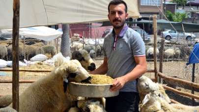 Çadırına astığı yazıyı gören içeri giriyor