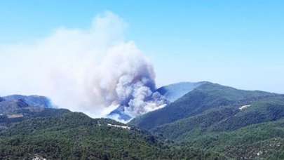 Muğla'da orman yangını! Ekipler müdahale ediyor