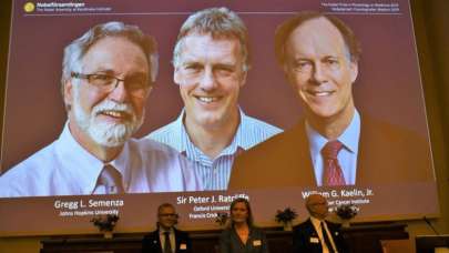 2019 Nobel Tıp Ödülü'nü kazananlar açıklandı