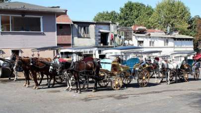 İstanbul Valisi canlı yayında duyurdu! 3 ay süreyle durduruldu