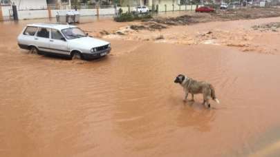 Adana’da ‘turuncu’ alarm!