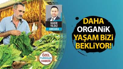 Daha organik bir yaşam bizi bekliyor