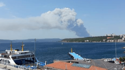 Çanakkale'de orman yangını çıktı! Alevlere müdahale ediliyor