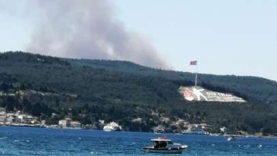 Çanakkale'de orman yangını