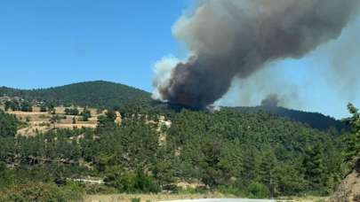 Çanakkale'de orman yangını