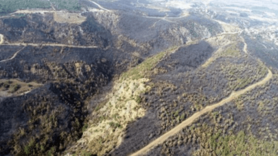 Hatay'da yanan ormanlık alan havadan görüntülendi