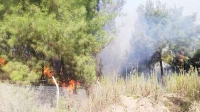 İskenderun'da orman yangını